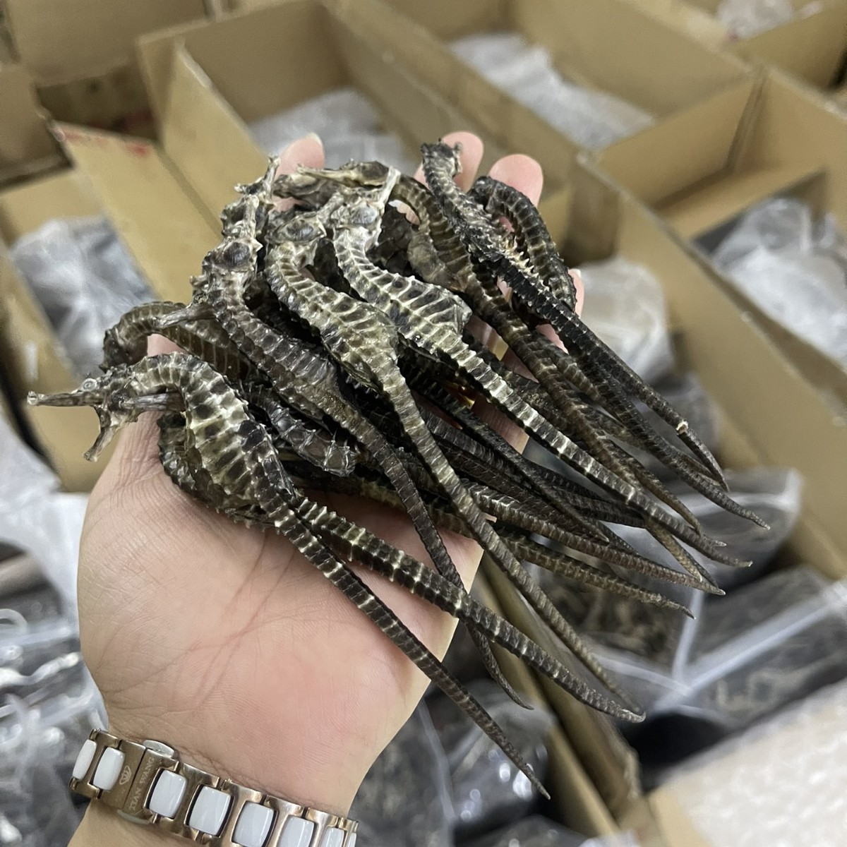 O1CN01dgzYLK1N82i92SCPs_!!2220361681524-0-cib