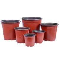 雙色盆育苗盆多肉種植盆大號(hào)營(yíng)養(yǎng)缽育苗盆一次性塑料加厚簡(jiǎn)約花盆
