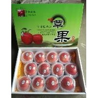 供應(yīng)寧夏香麓蘋果綠色有機(jī)水果紅富士蘋果*