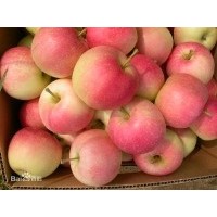 西部?jī)?yōu)質(zhì)綠色農(nóng)產(chǎn)品供應(yīng)商-蘋果供應(yīng) 10斤